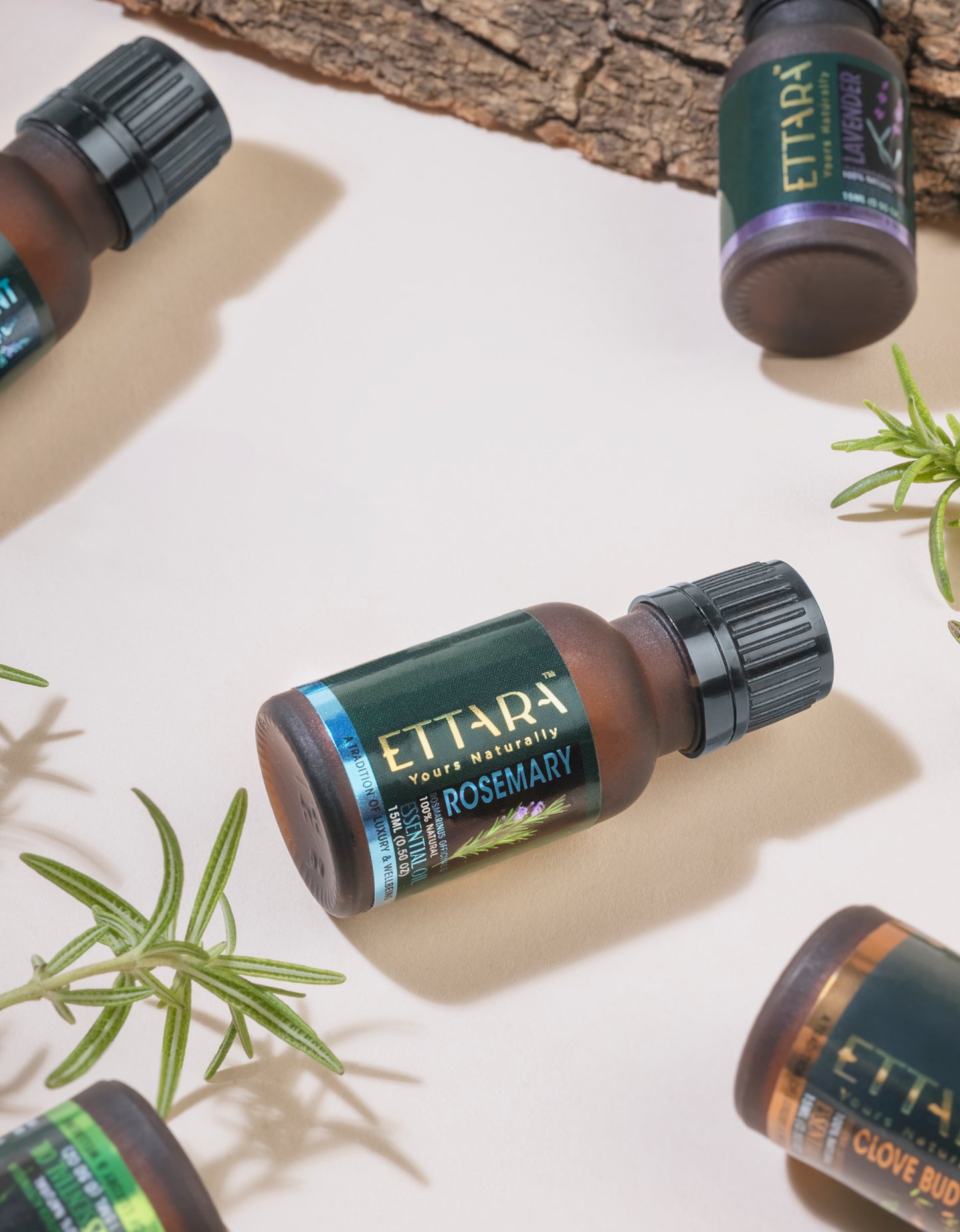 Rosemary Oil (Rosmarinus officinalis)