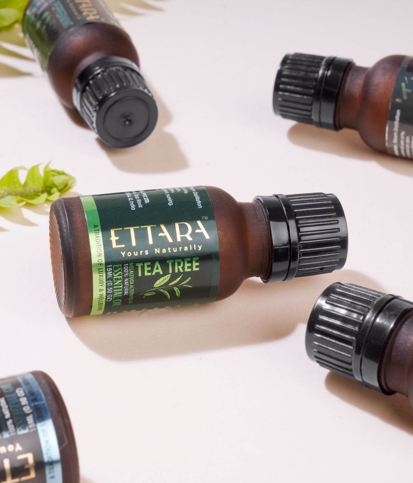 Tea Tree Oil (Melaleuca alternifolia)
